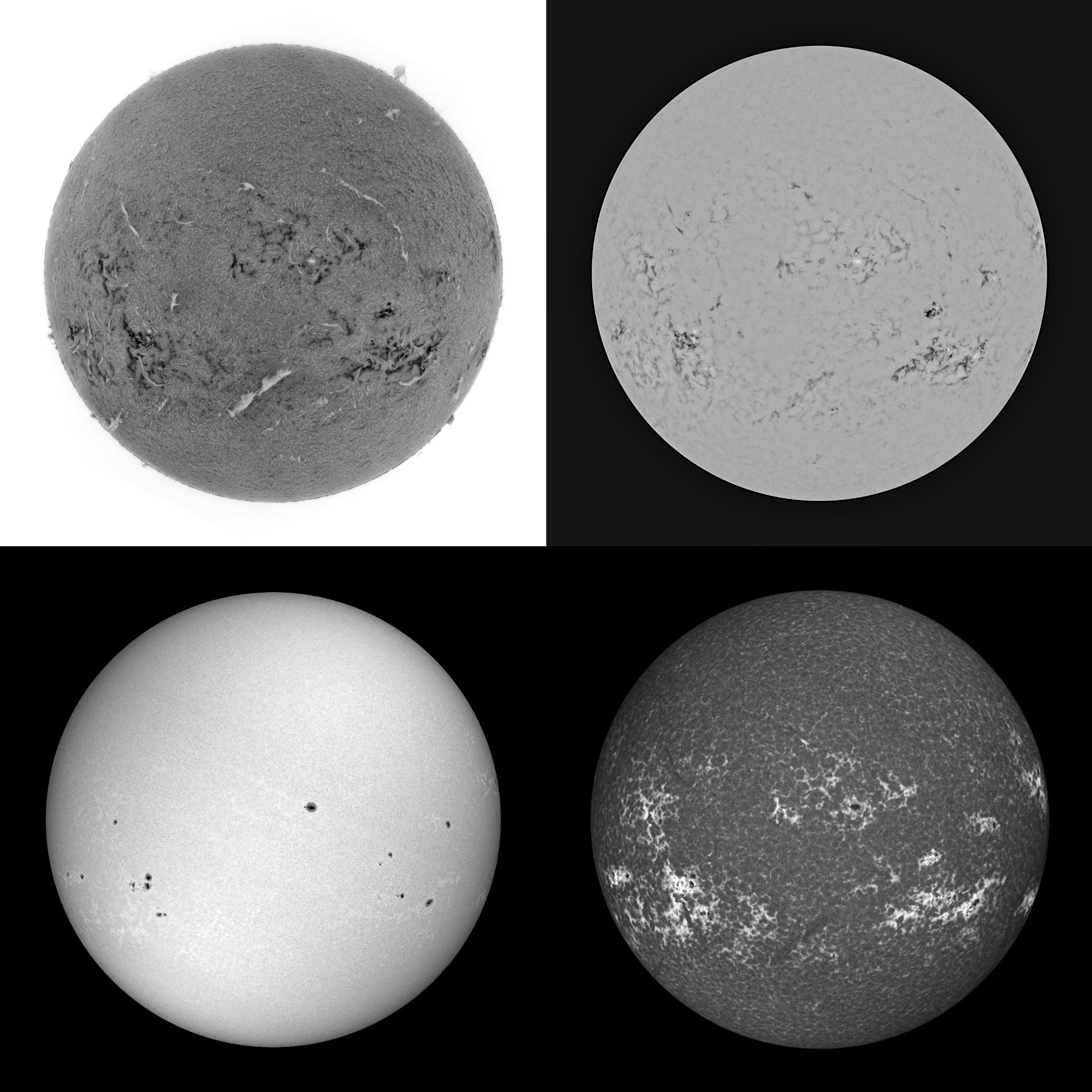 Community photo by Mario