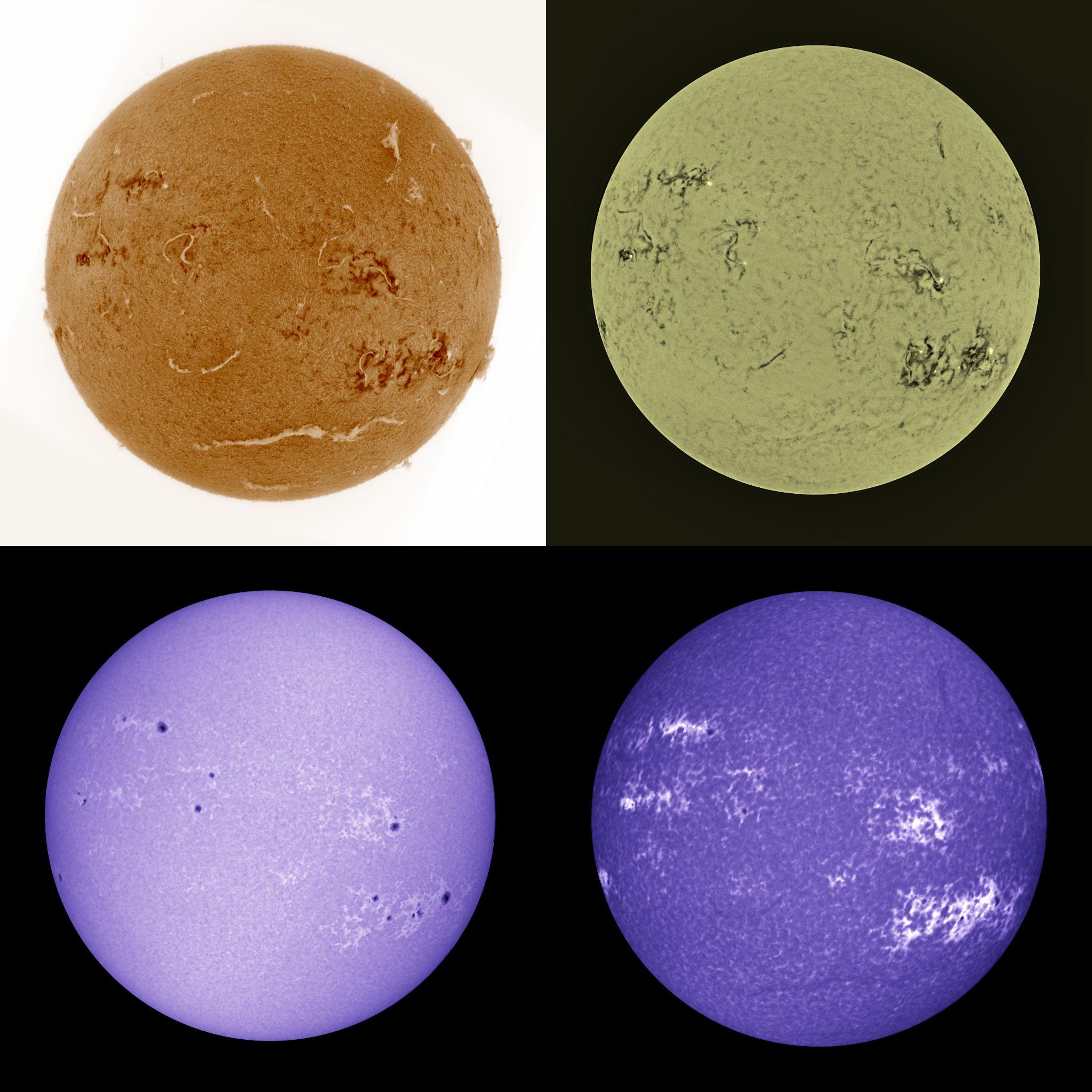 Community photo by Mario