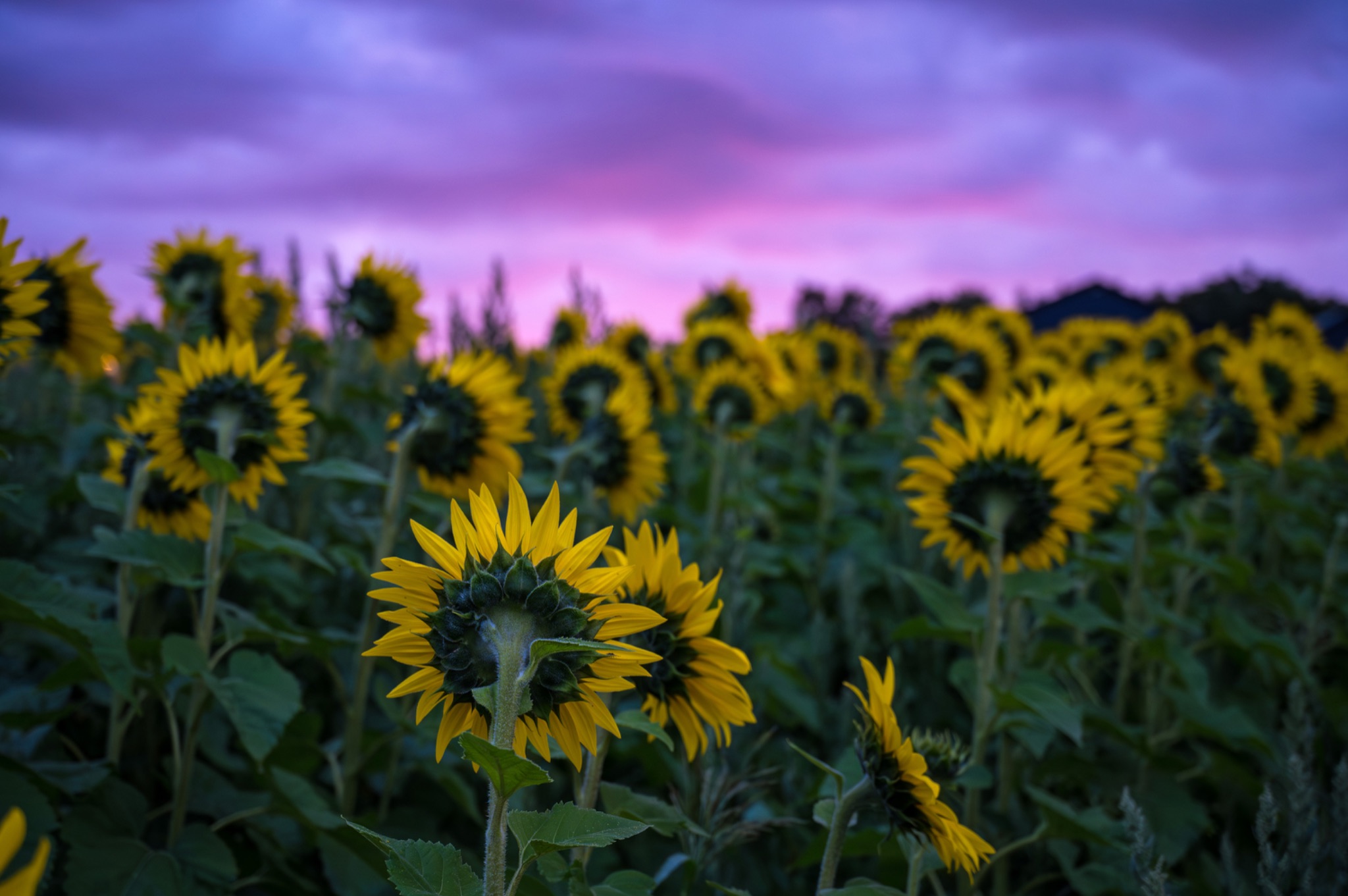 Community photo by Bill