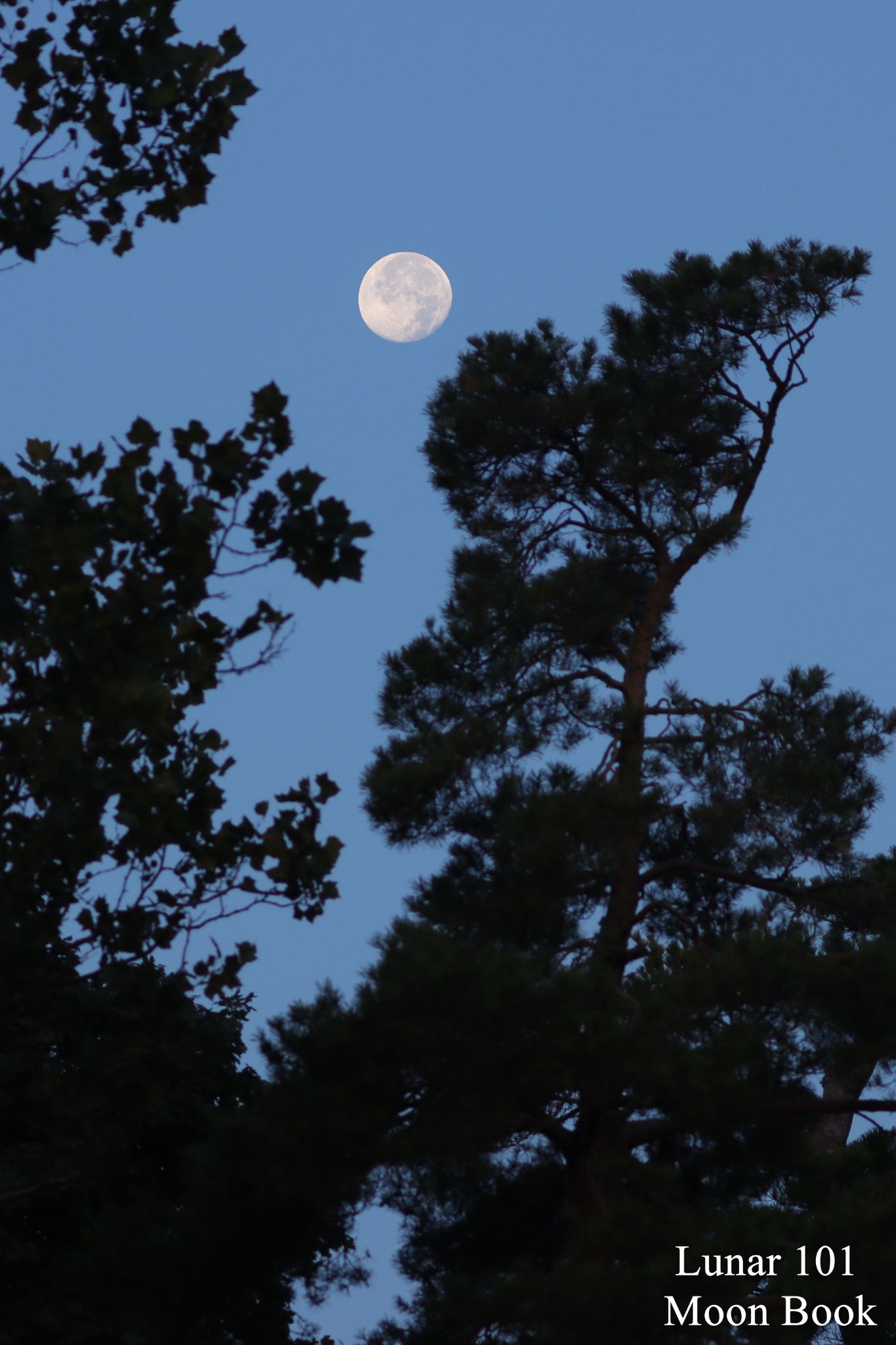 Community photo by Steven