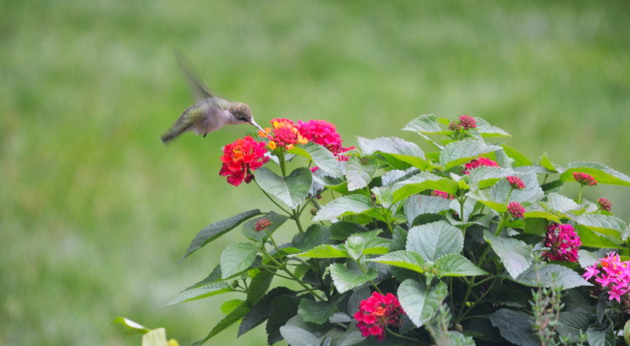 Community photo by Asha