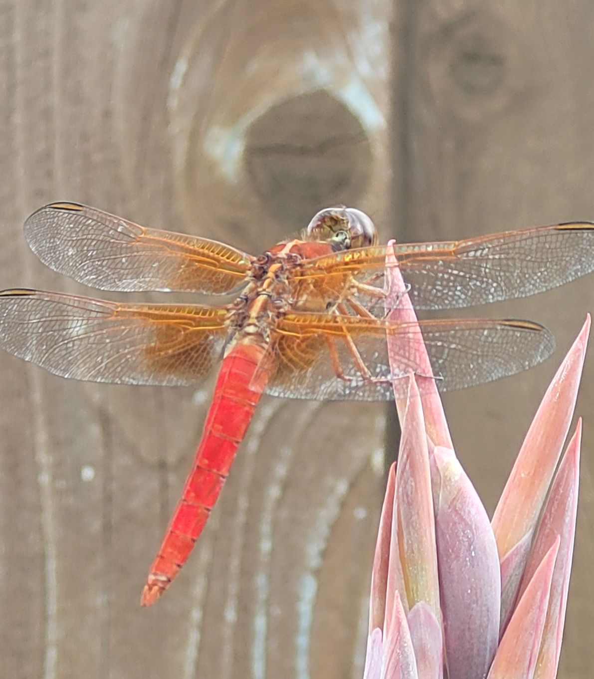 Community photo by Marcy