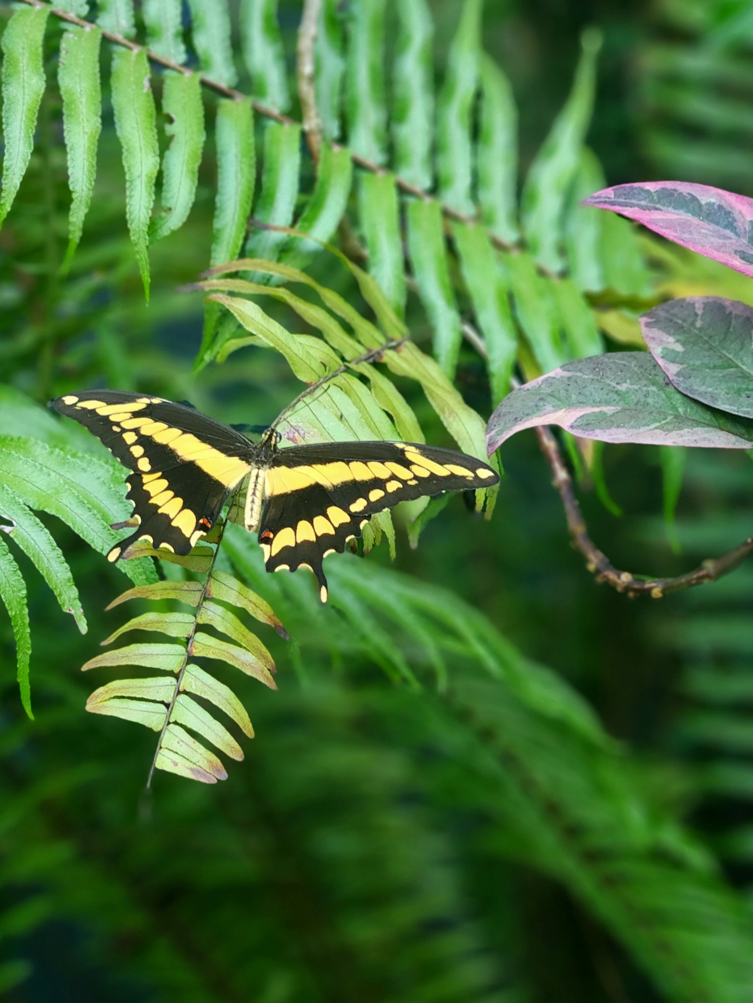 Community photo by Jo-Ann Hem Lee | Trincity Trinidad & Tobago