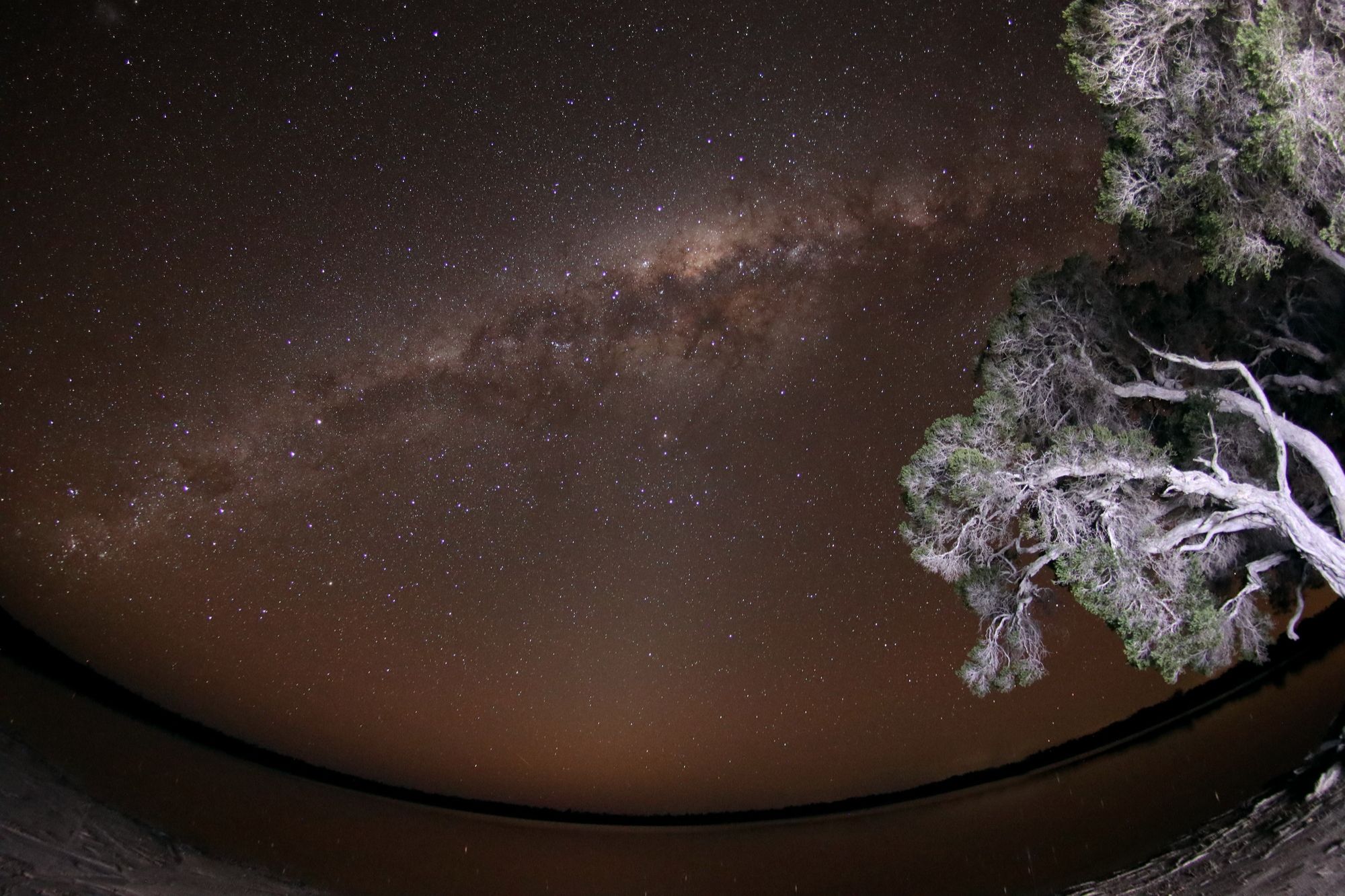 Community photo by Andrea