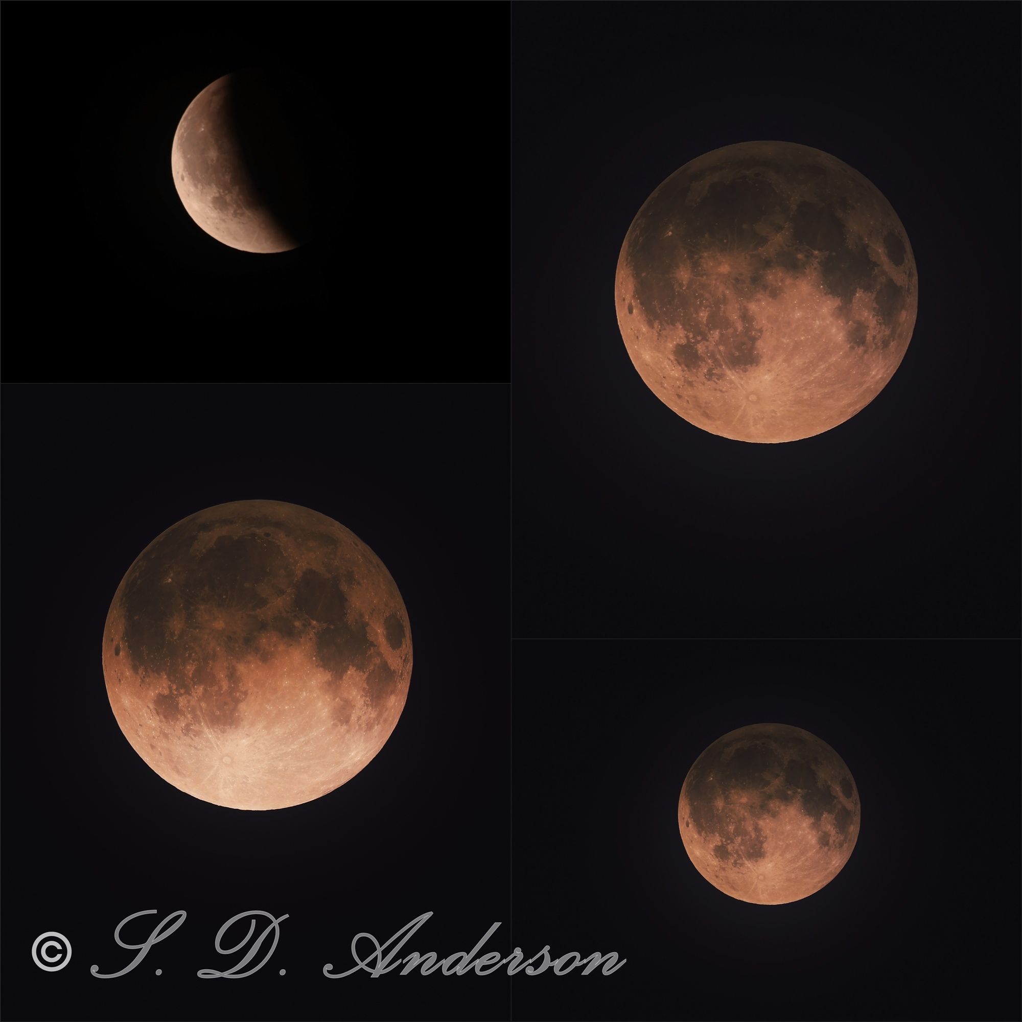 Community photo by Samantha