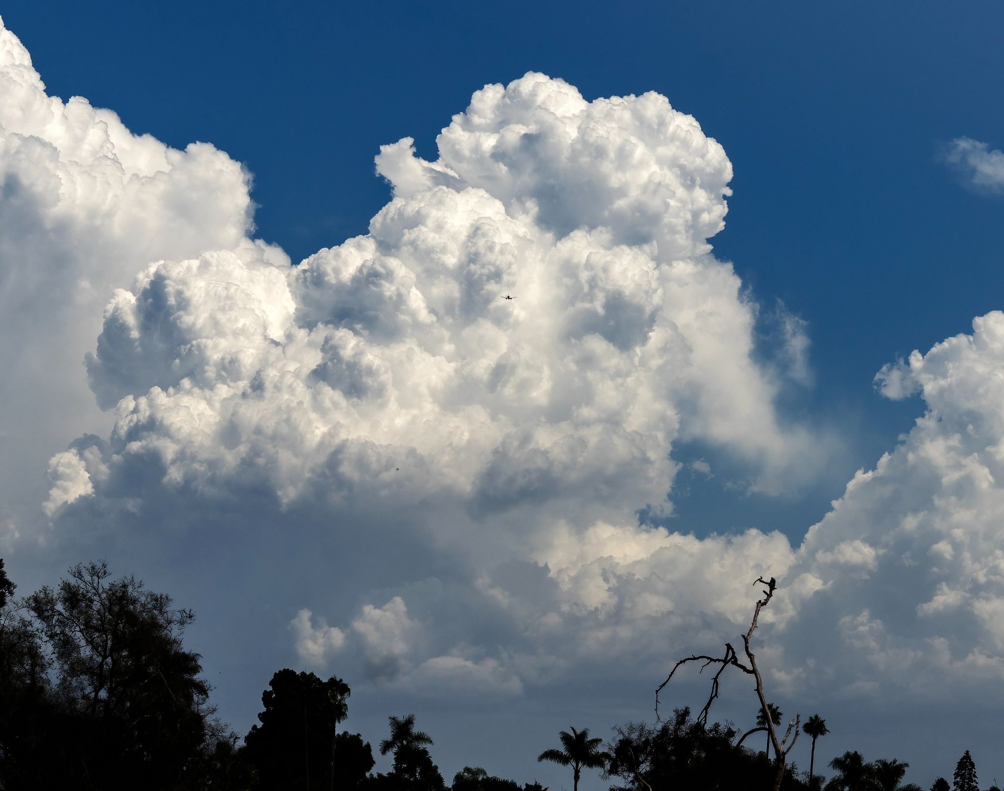Community photo by Peter Welch | San Diego, CA USA