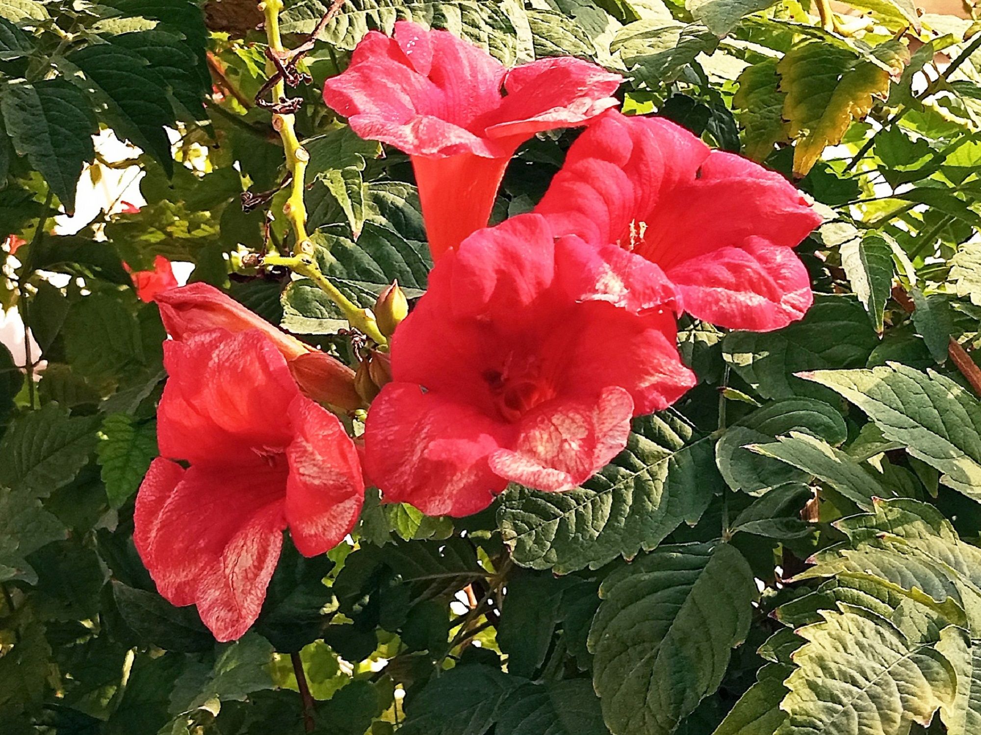 Community photo by Hassan