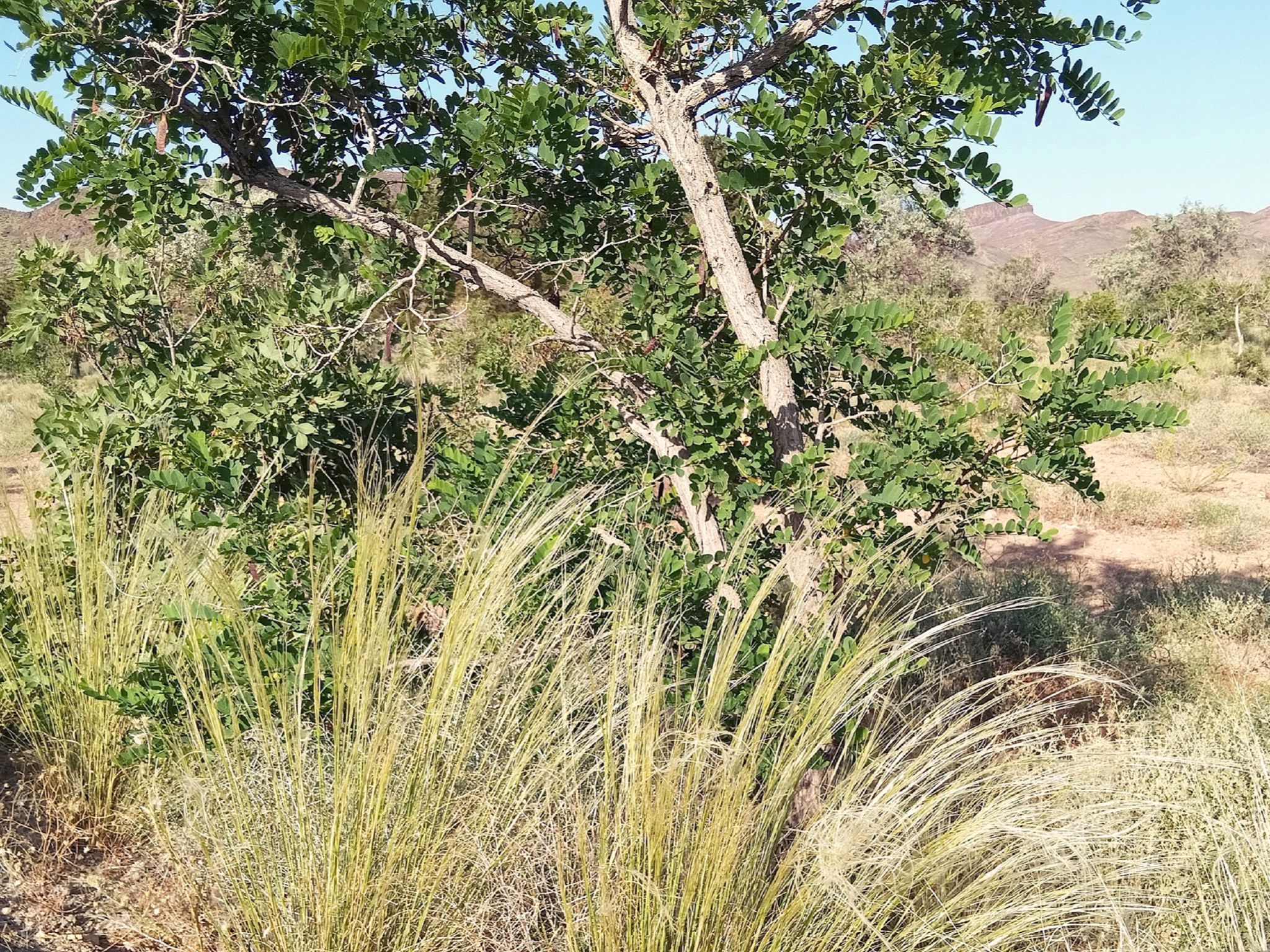 Community photo by Hassan