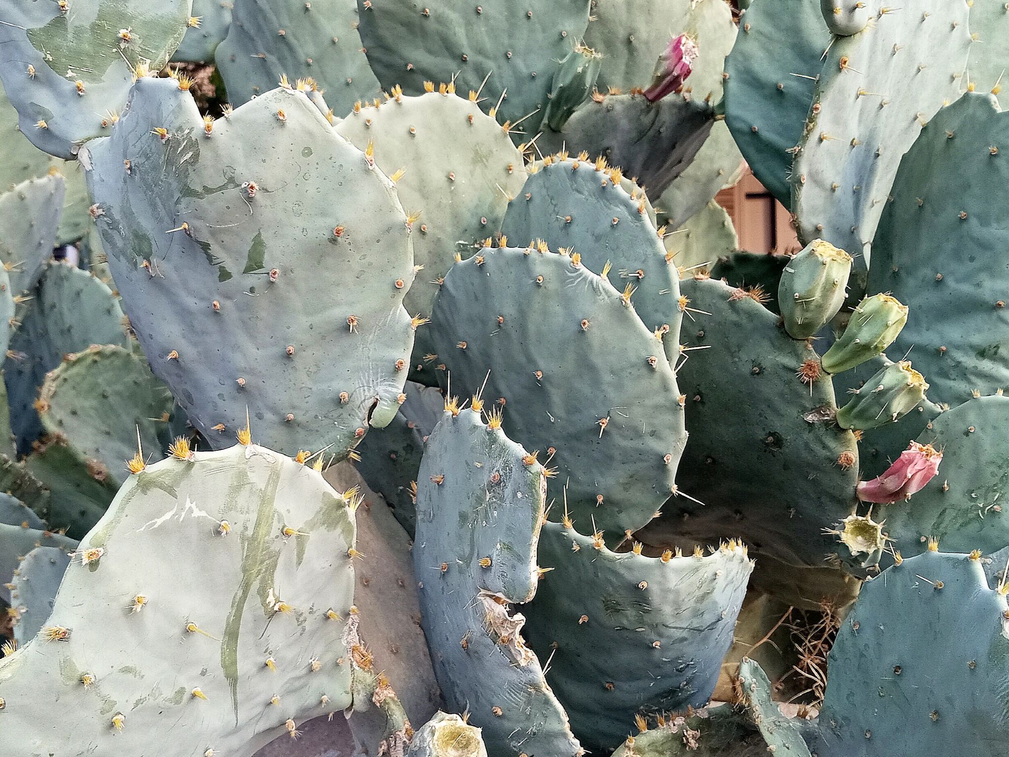 Community photo by Hassan