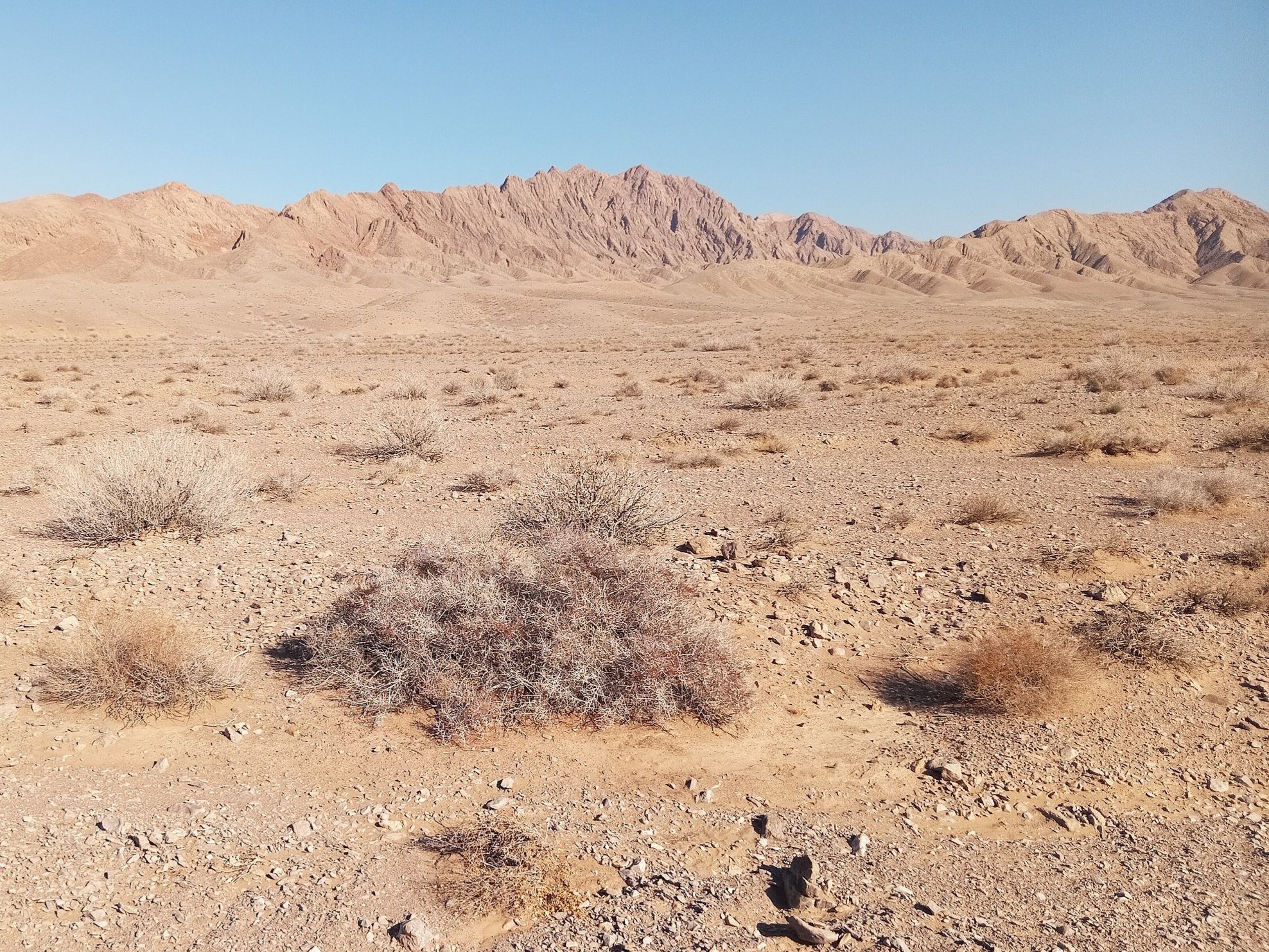 Community photo by Hassan