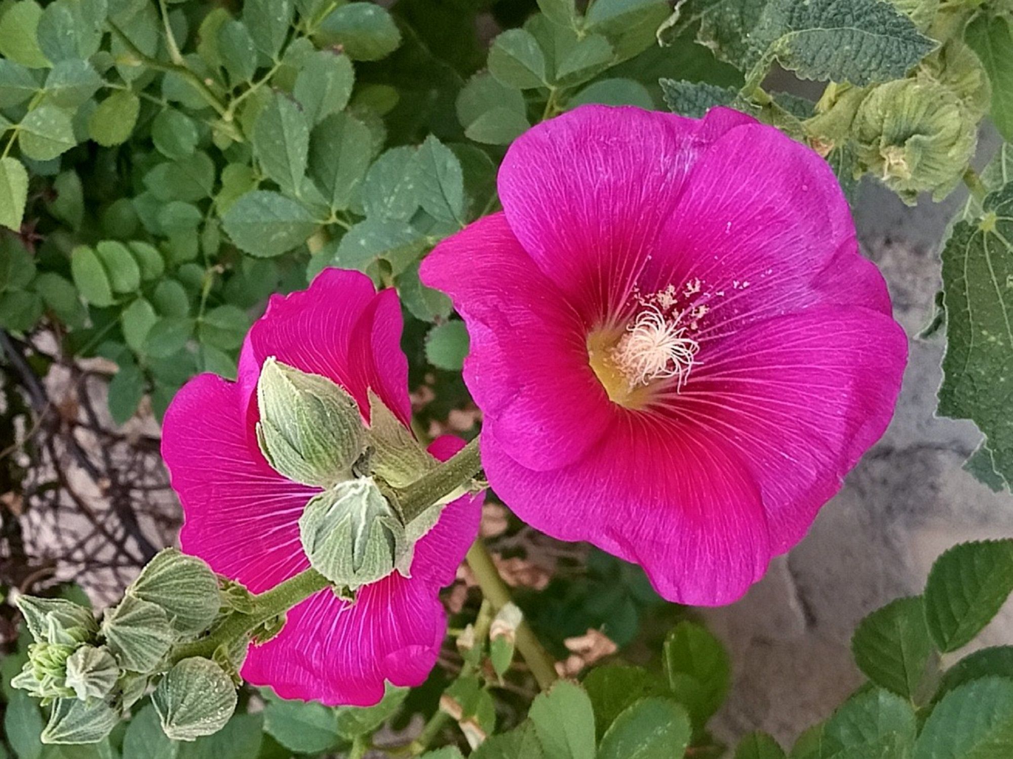 Community photo by Hassan Dadashi  Arani | Esfahan province. Iran
