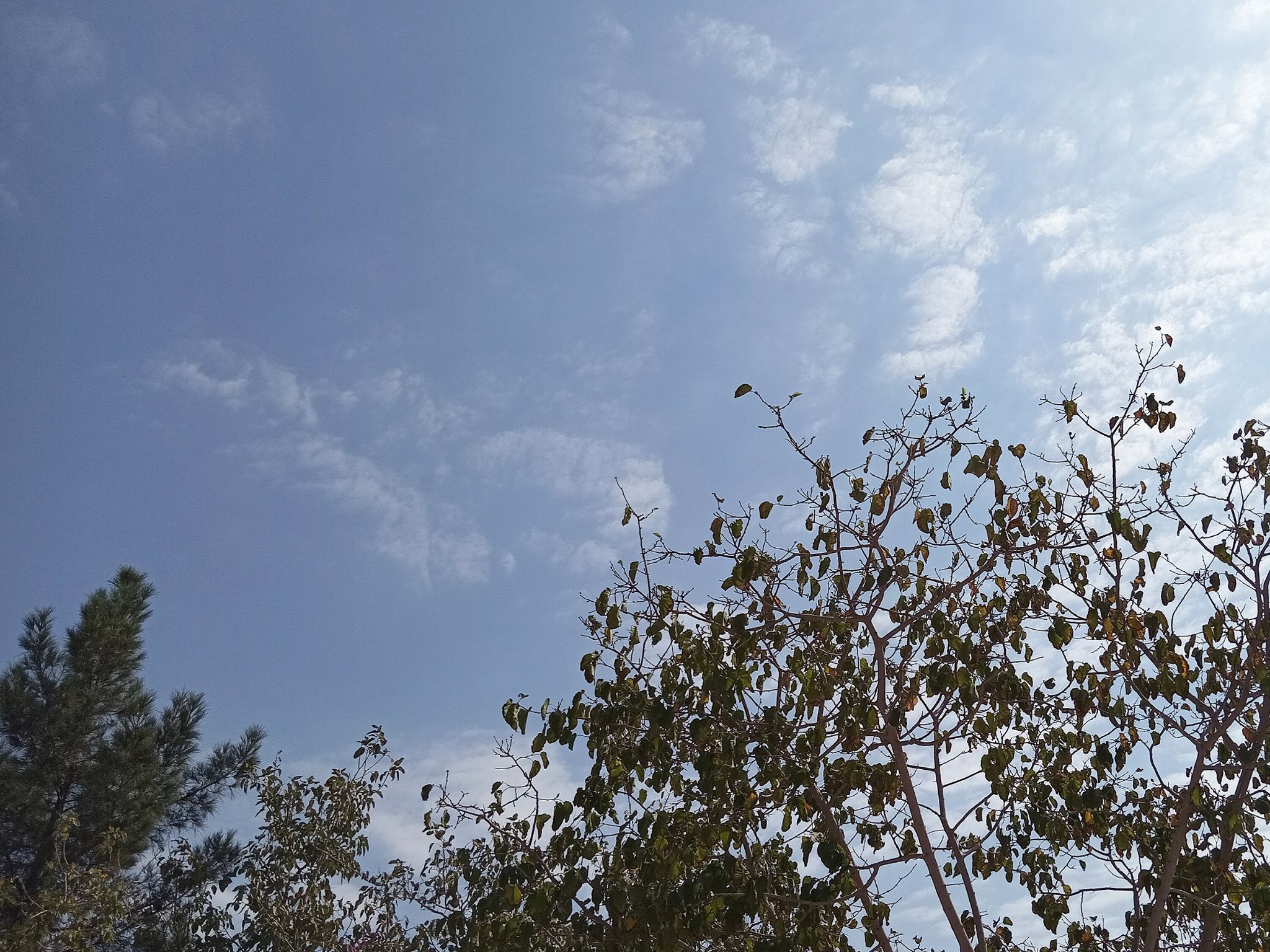 Community photo by Hassan