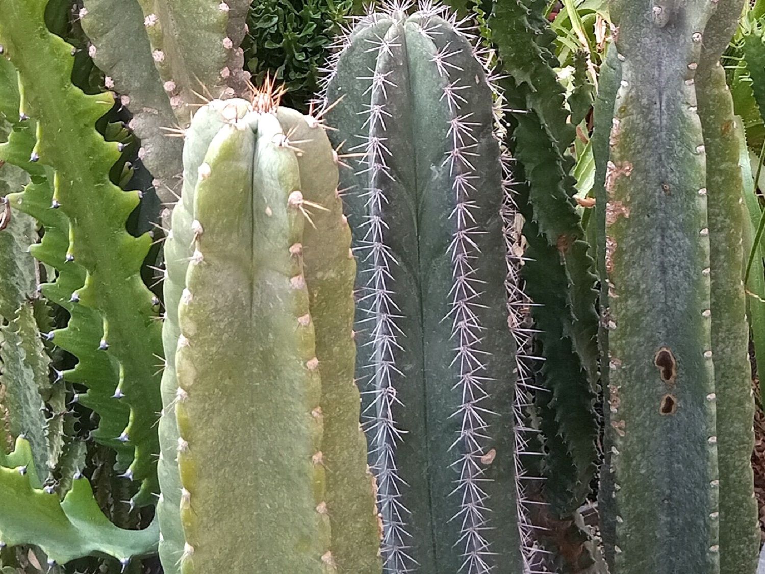 Community photo by Hassan