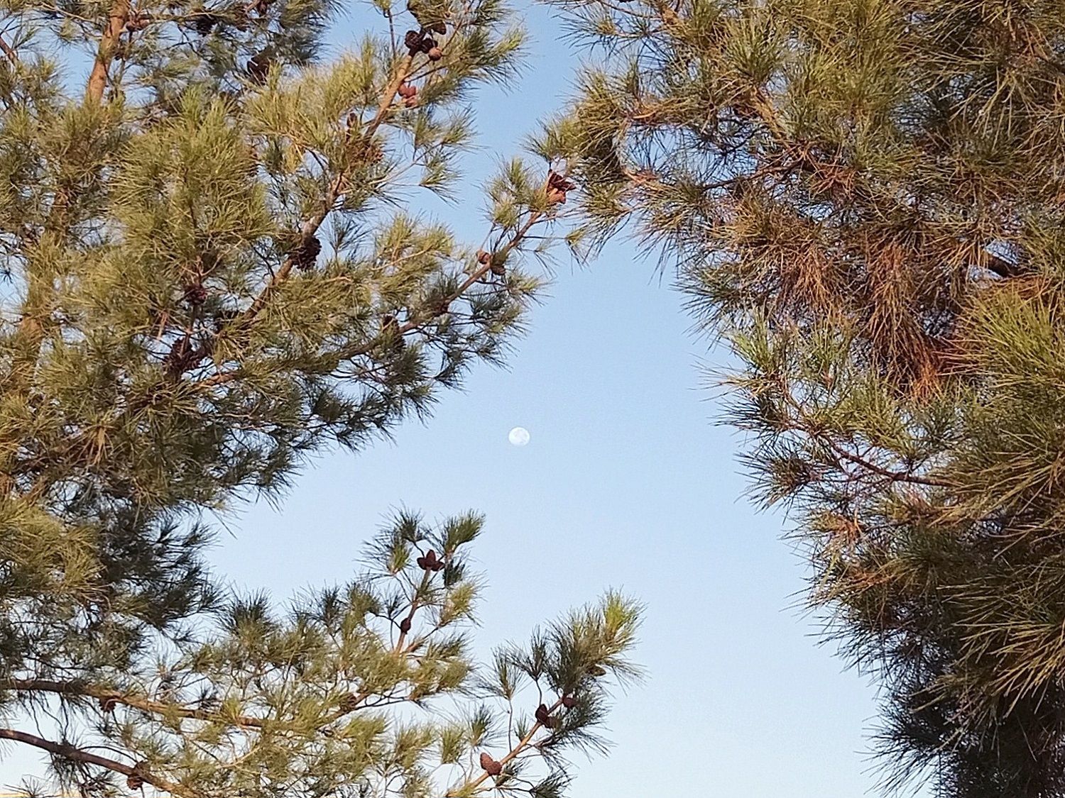 Community photo by Hassan