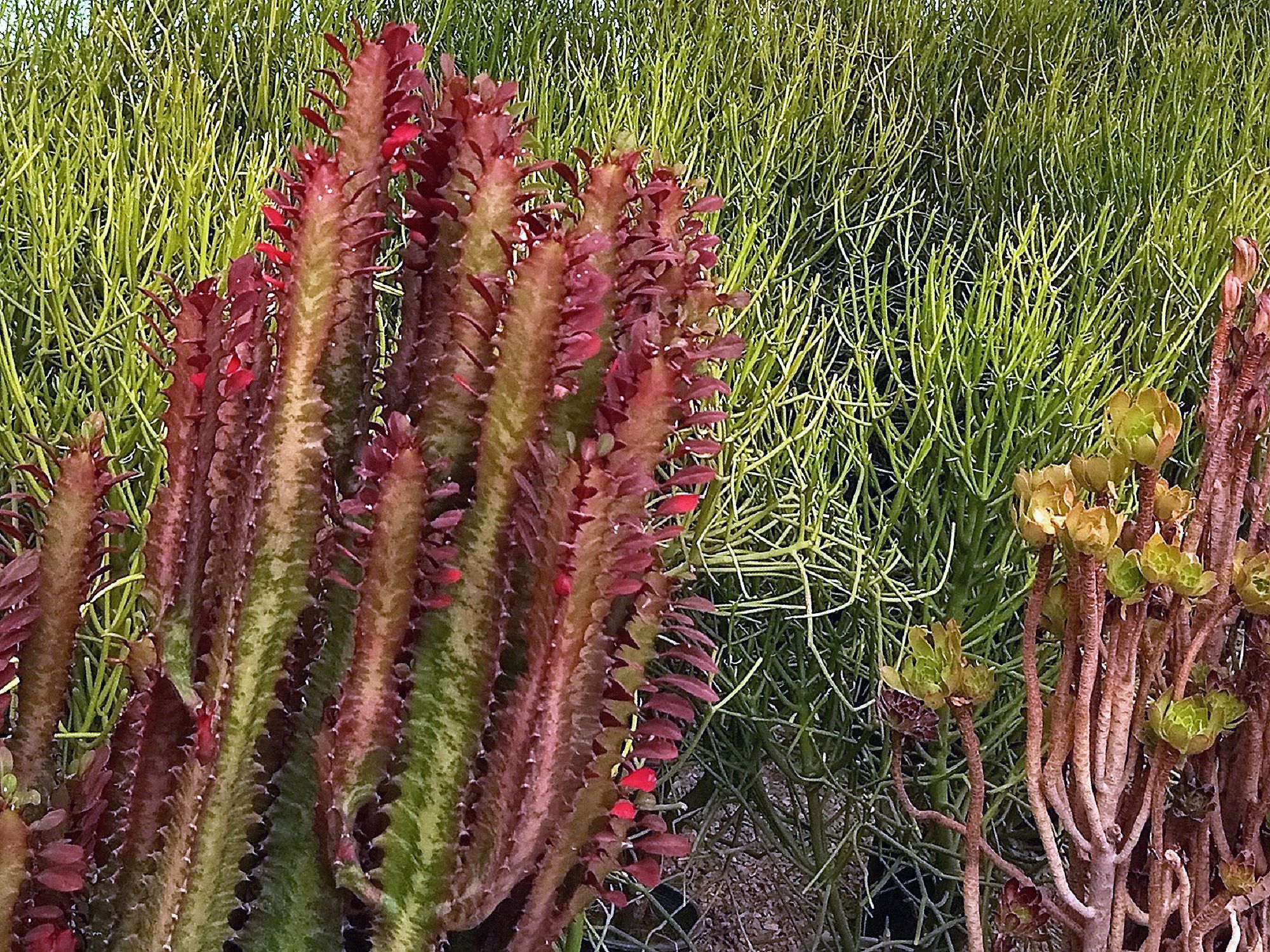 Community photo by Hassan