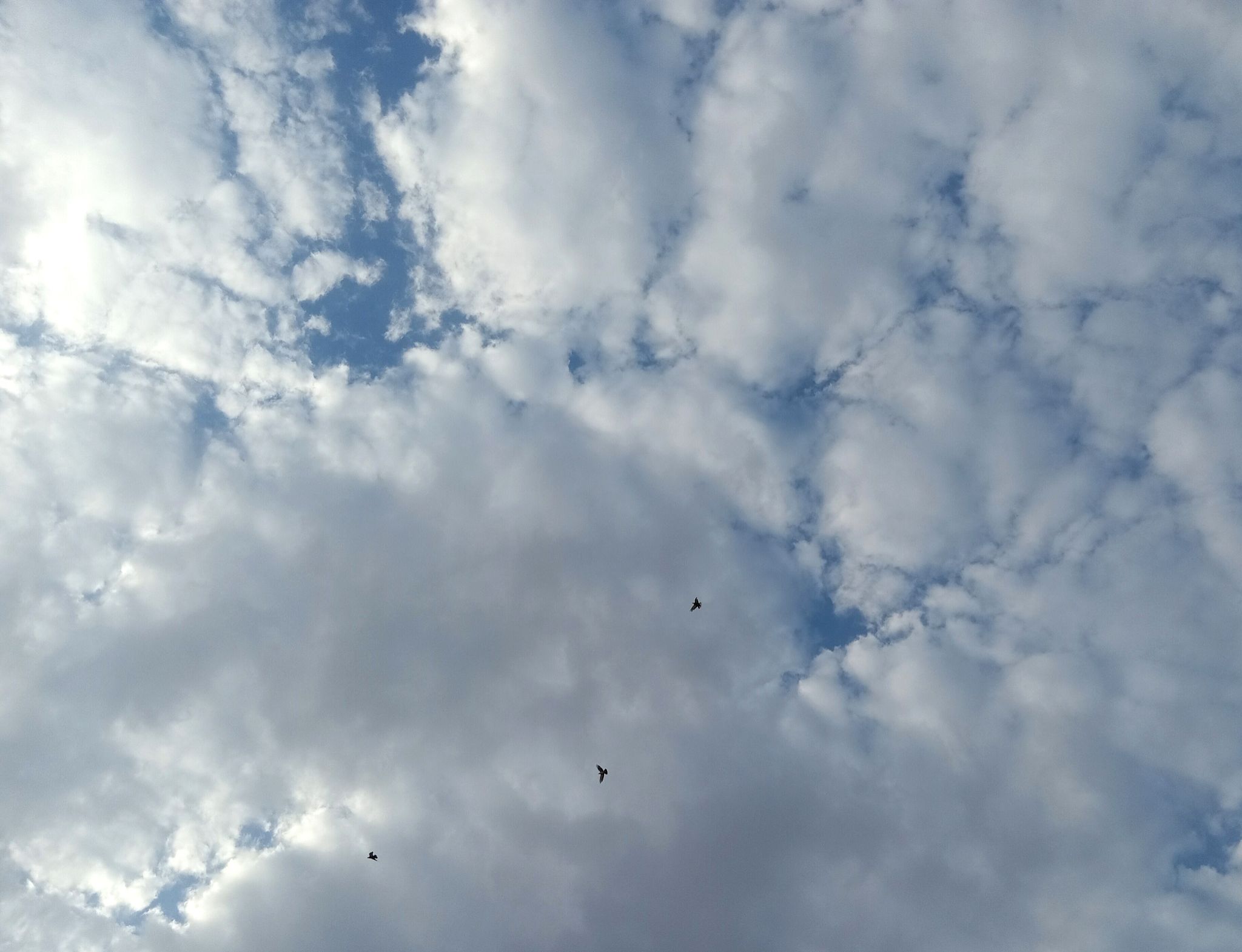 Community photo by Hassan