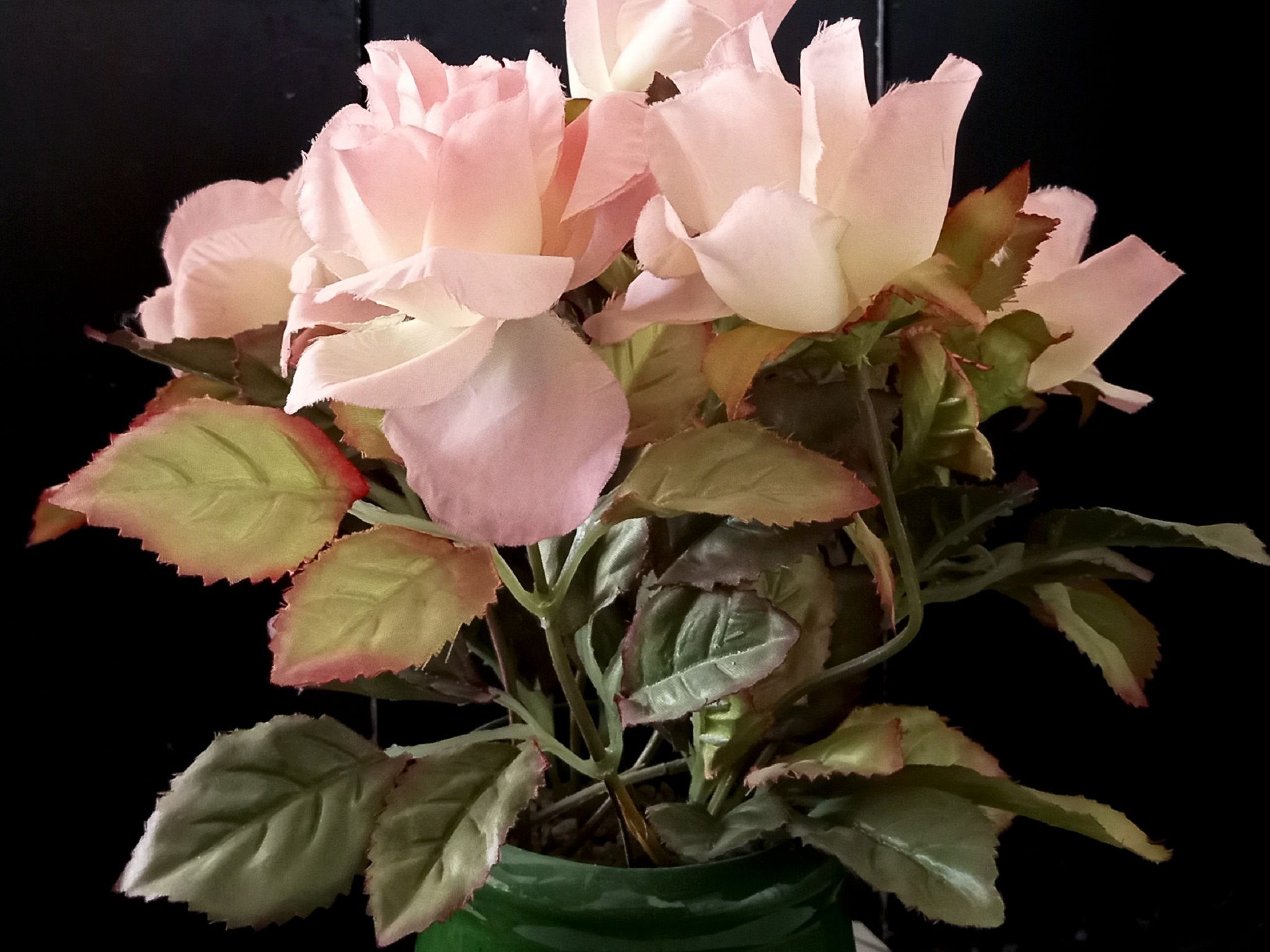 Community photo by Hassan