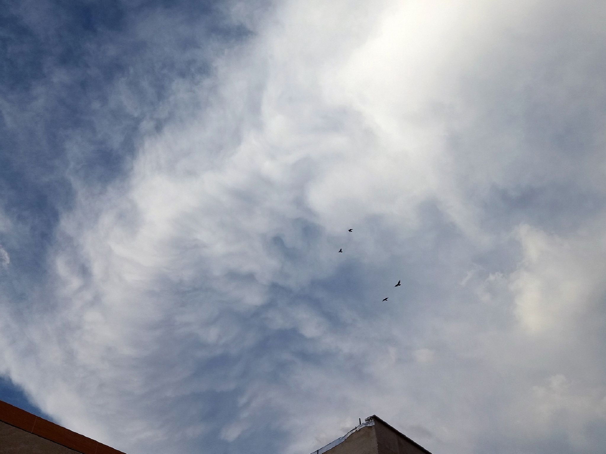 Community photo by Hassan