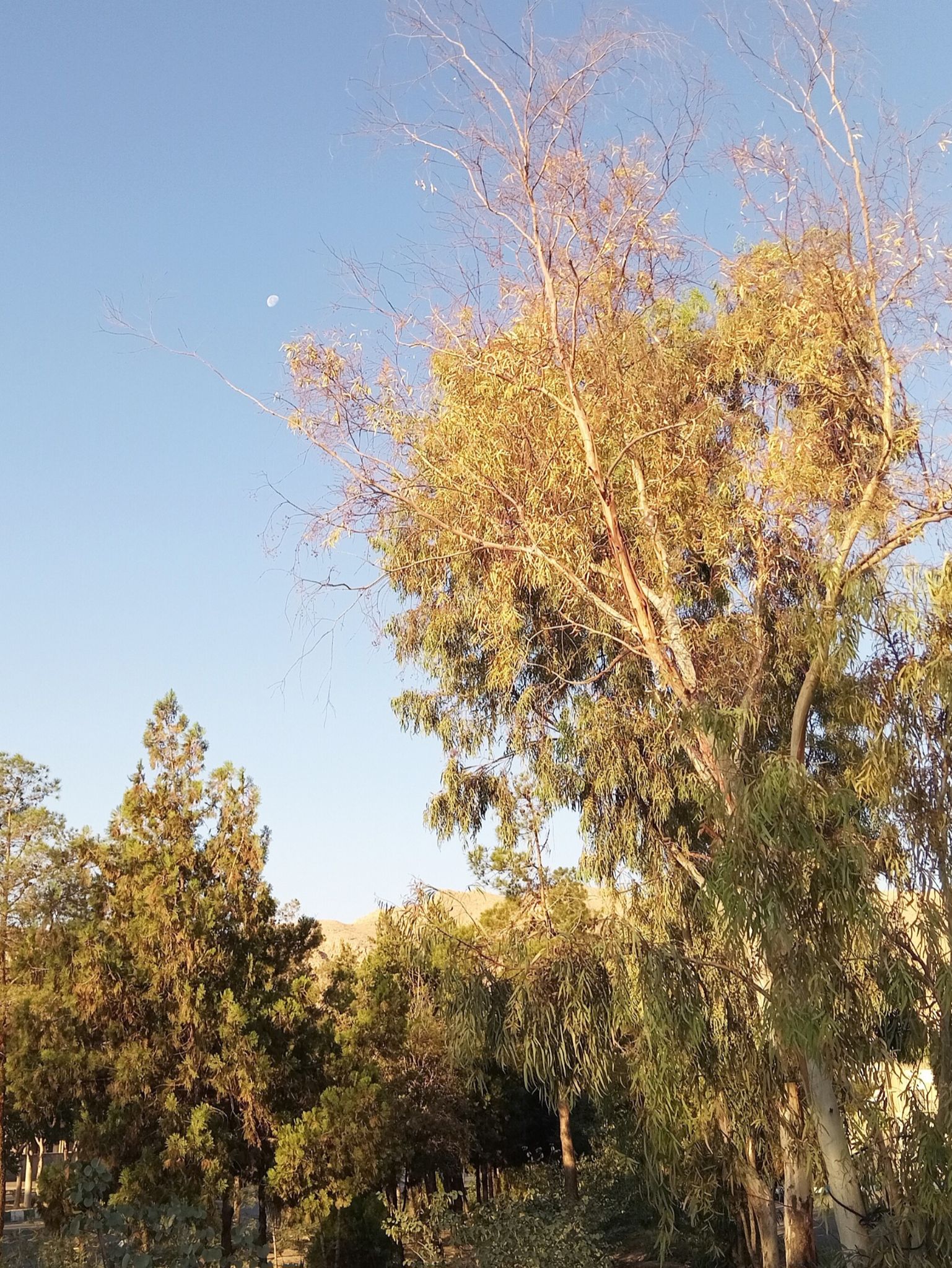 Community photo by Hassan