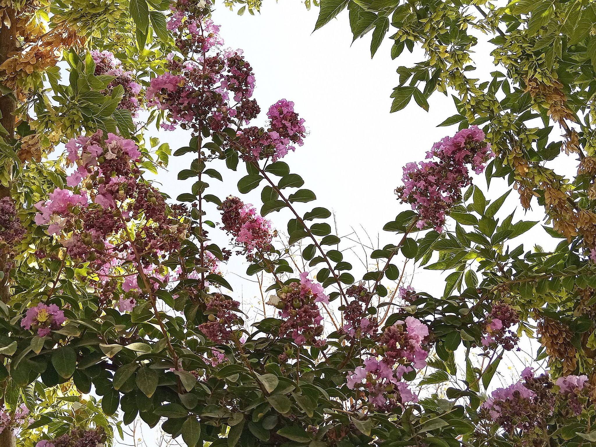 Community photo by Hassan