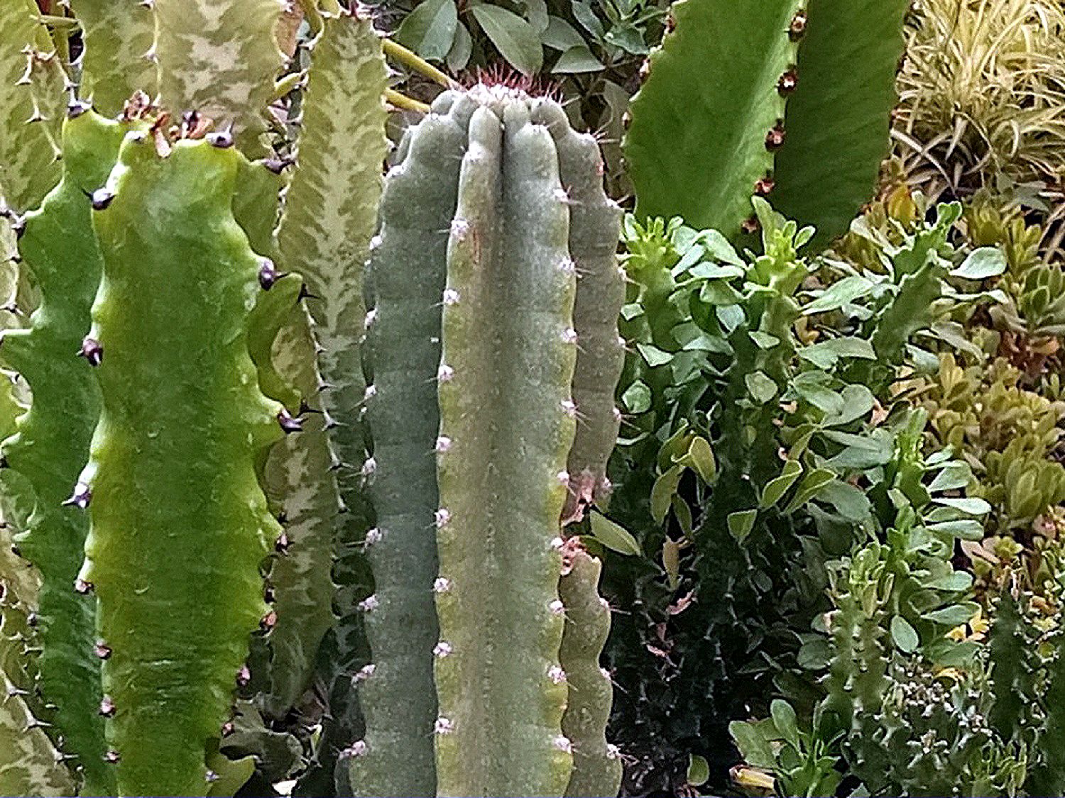 Community photo by Hassan