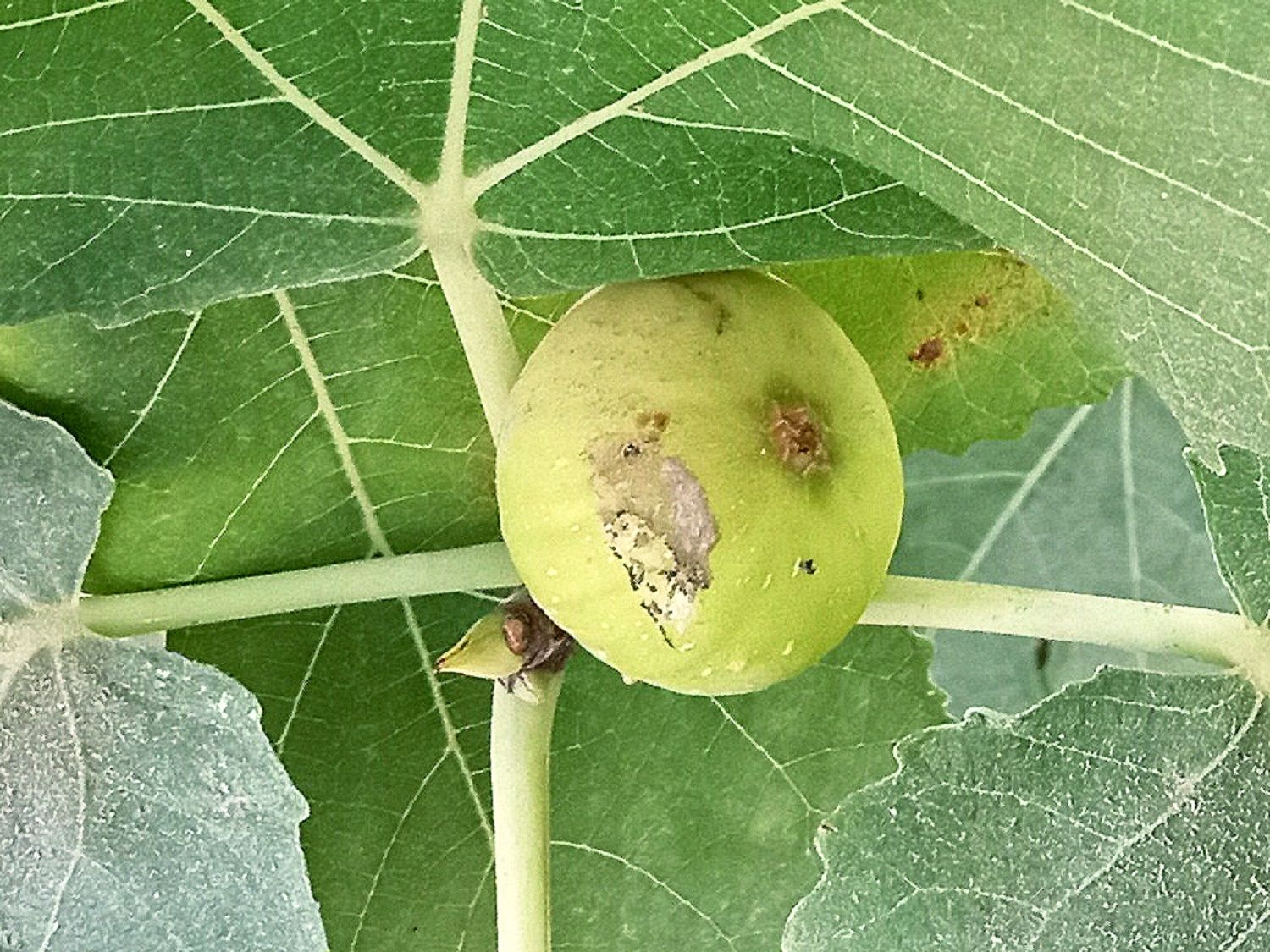 Community photo by Hassan