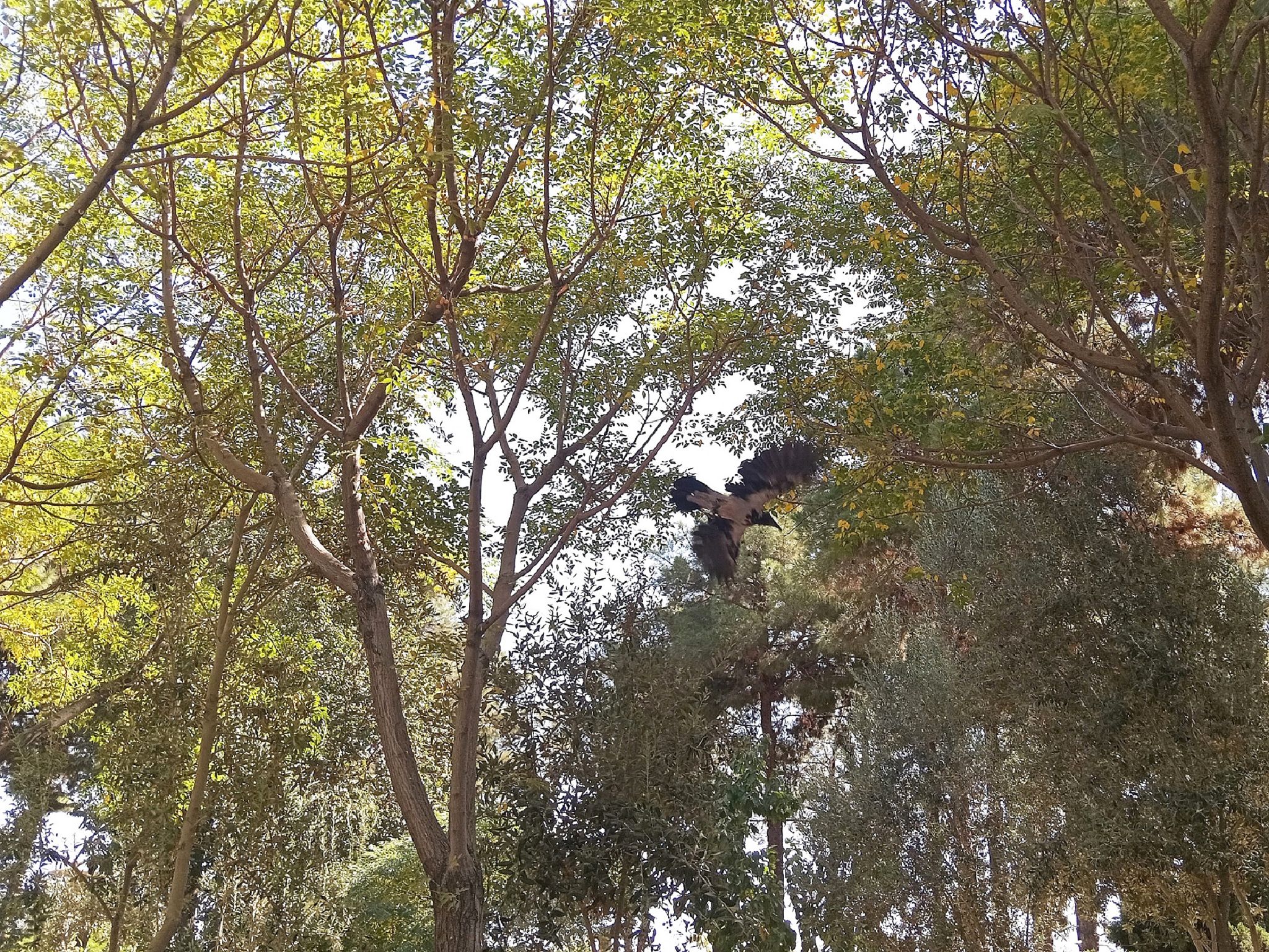 Community photo by Hassan Dadashi  Arani | Esfahan province. Iran