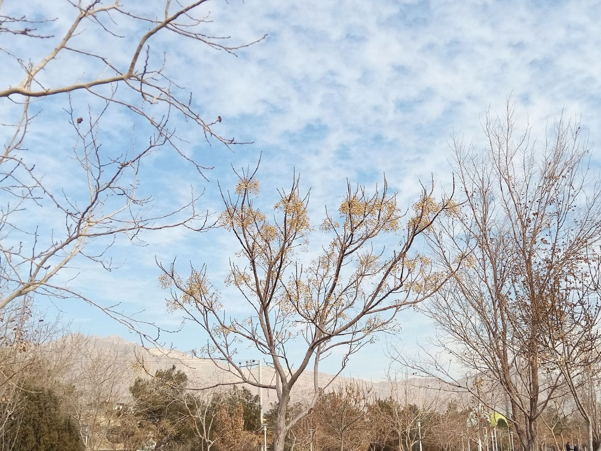 Community photo by Hassan