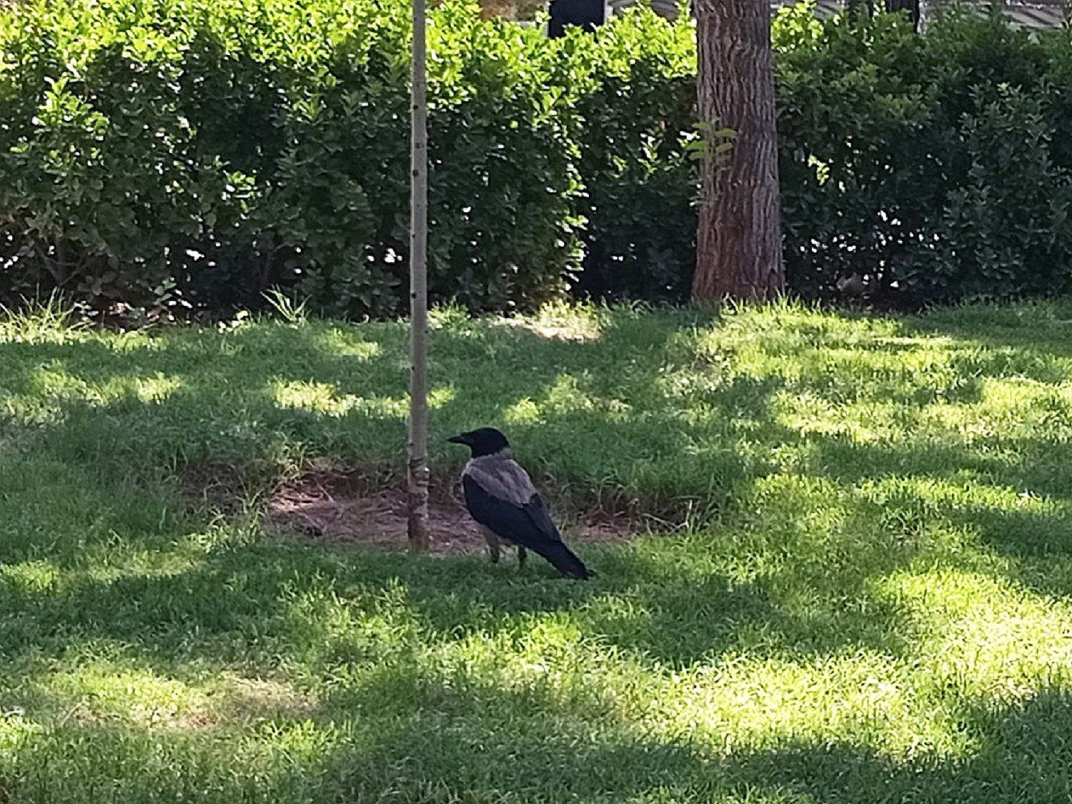 Community photo by Hassan