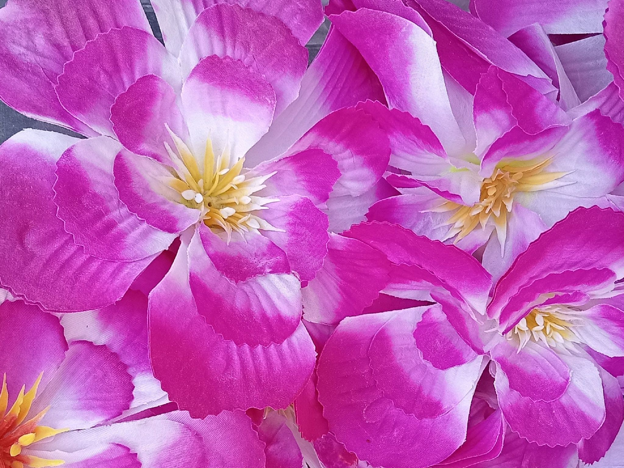 Community photo by Hassan