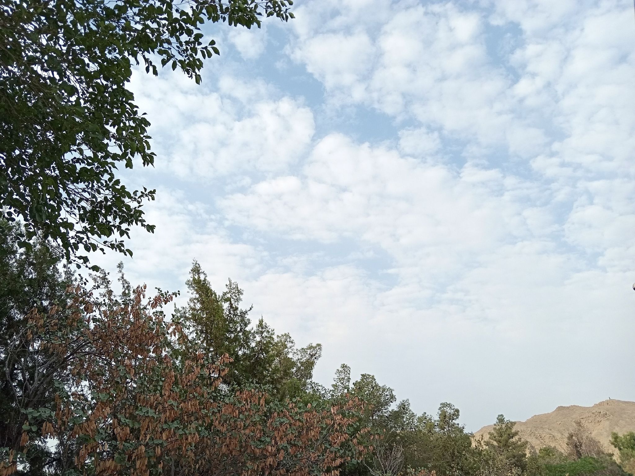 Community photo by Hassan