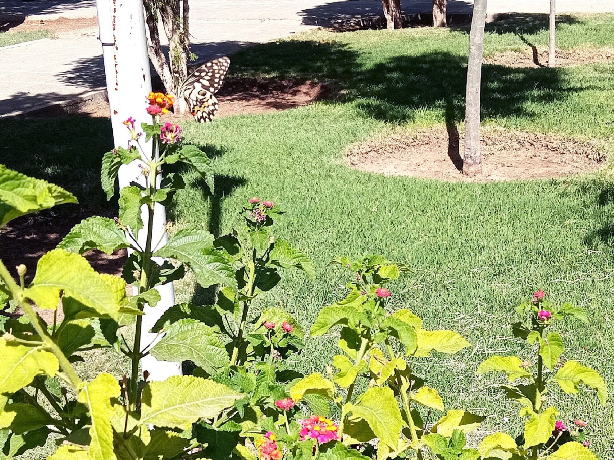 Community photo by Hassan