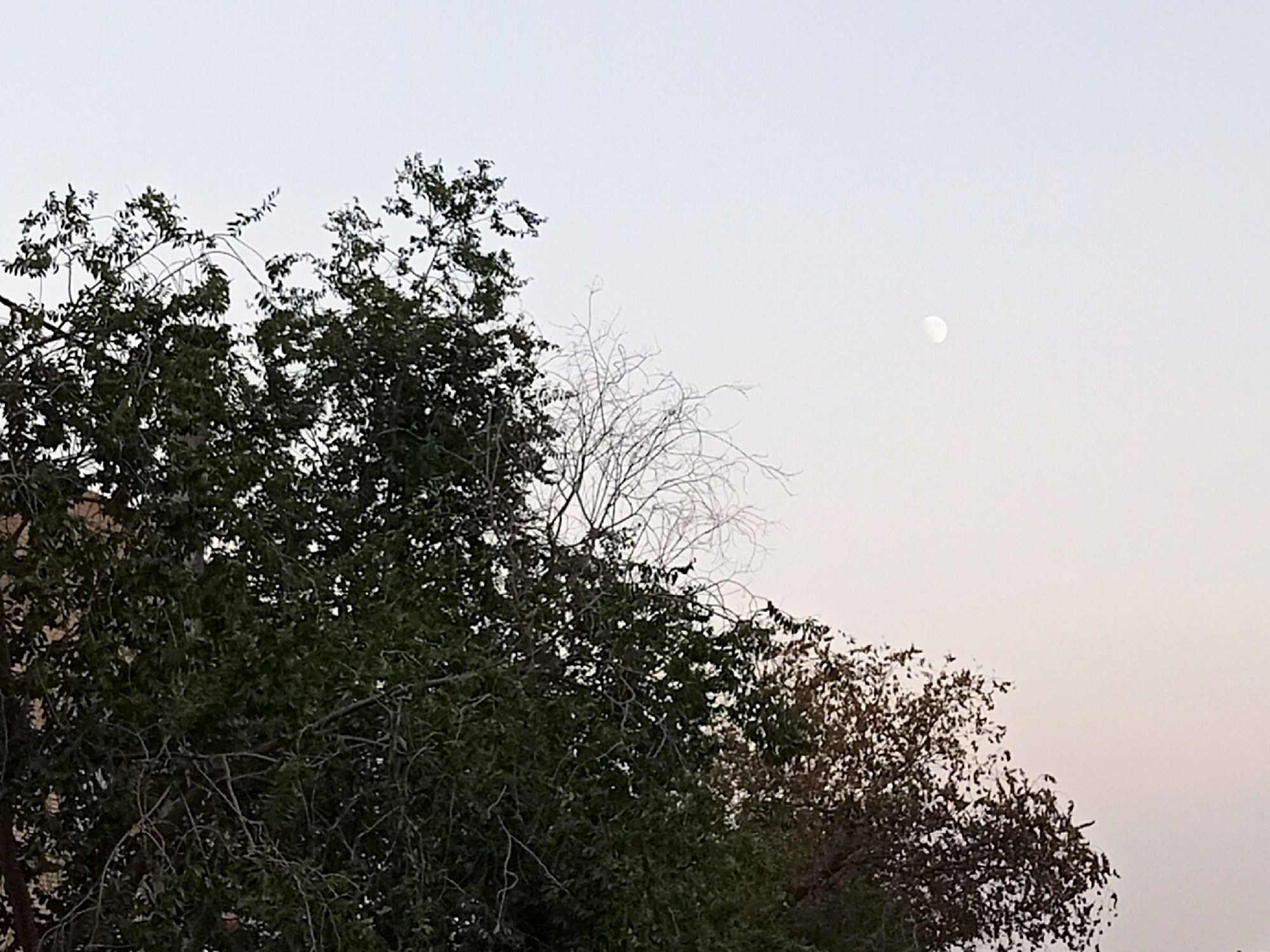 Community photo by Hassan