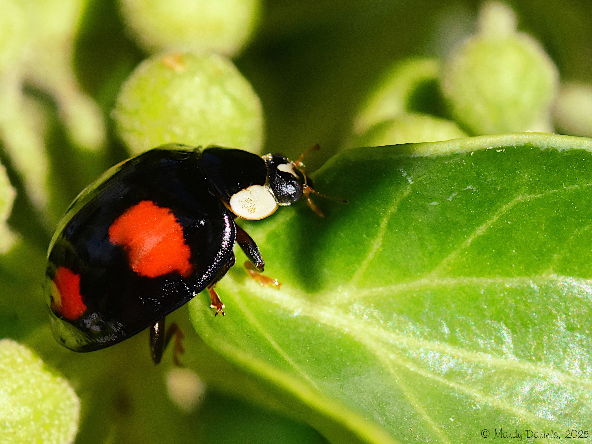 Community photo by Mandy