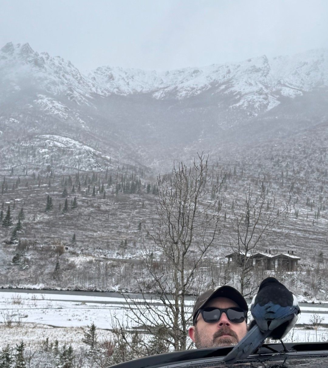 Community photo by William