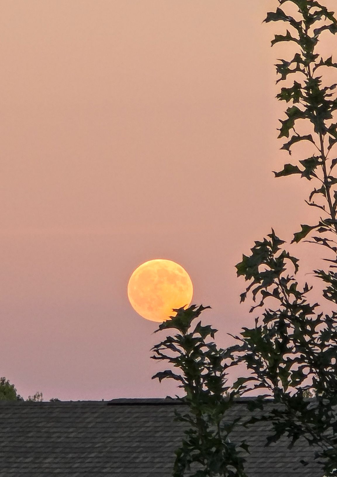 Community photo by Saranya J | delaware