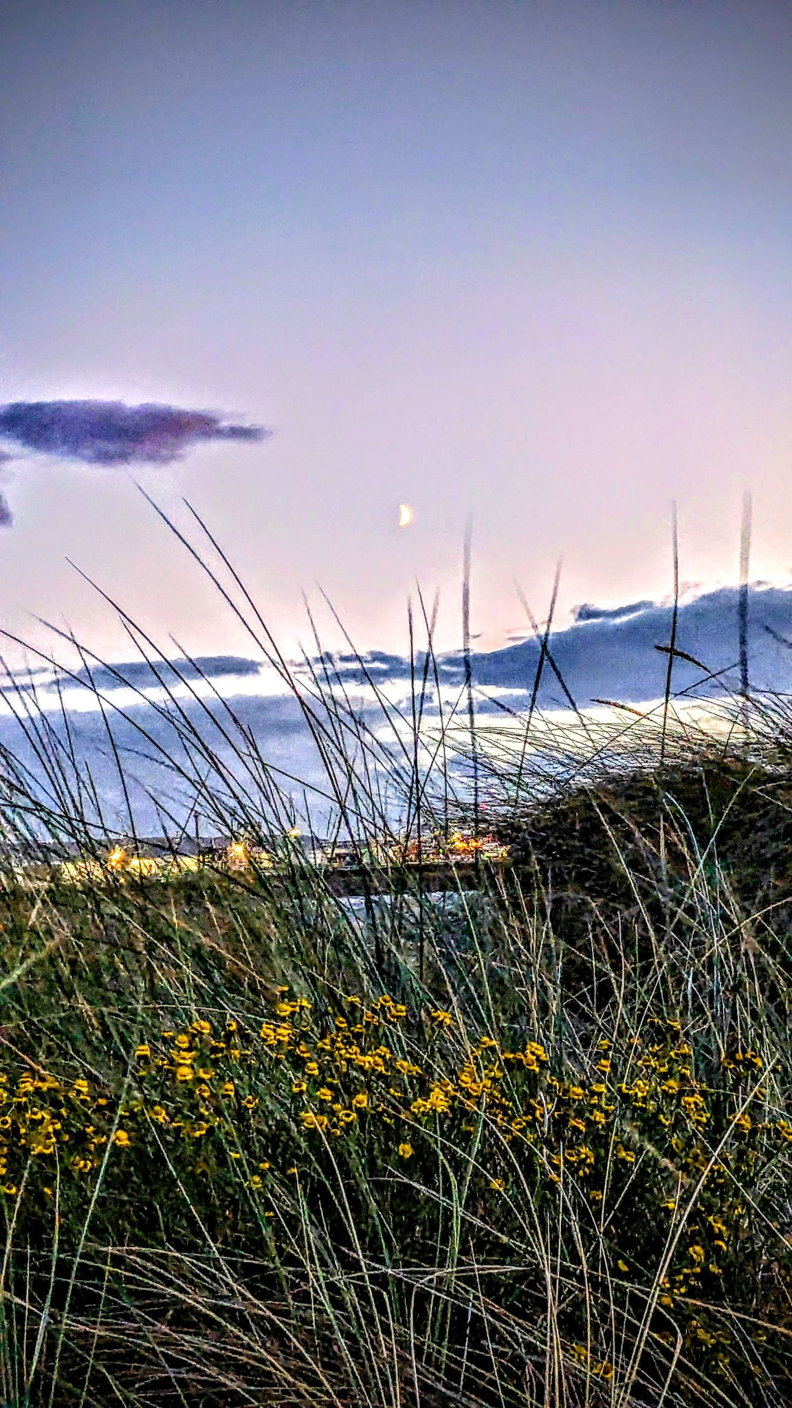Community photo by kevan hubbard | Teesmouth Nature Reserve, Co Durham, England