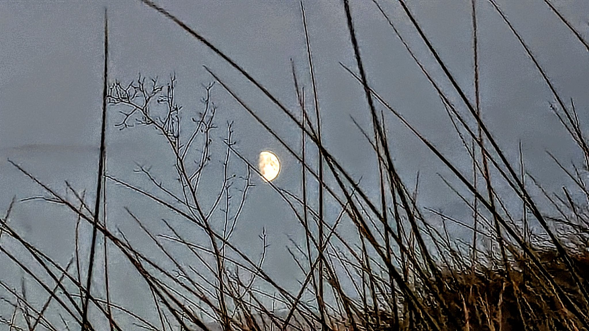 Community photo by kevan hubbard | Teesmouth Island,Co Durham, England