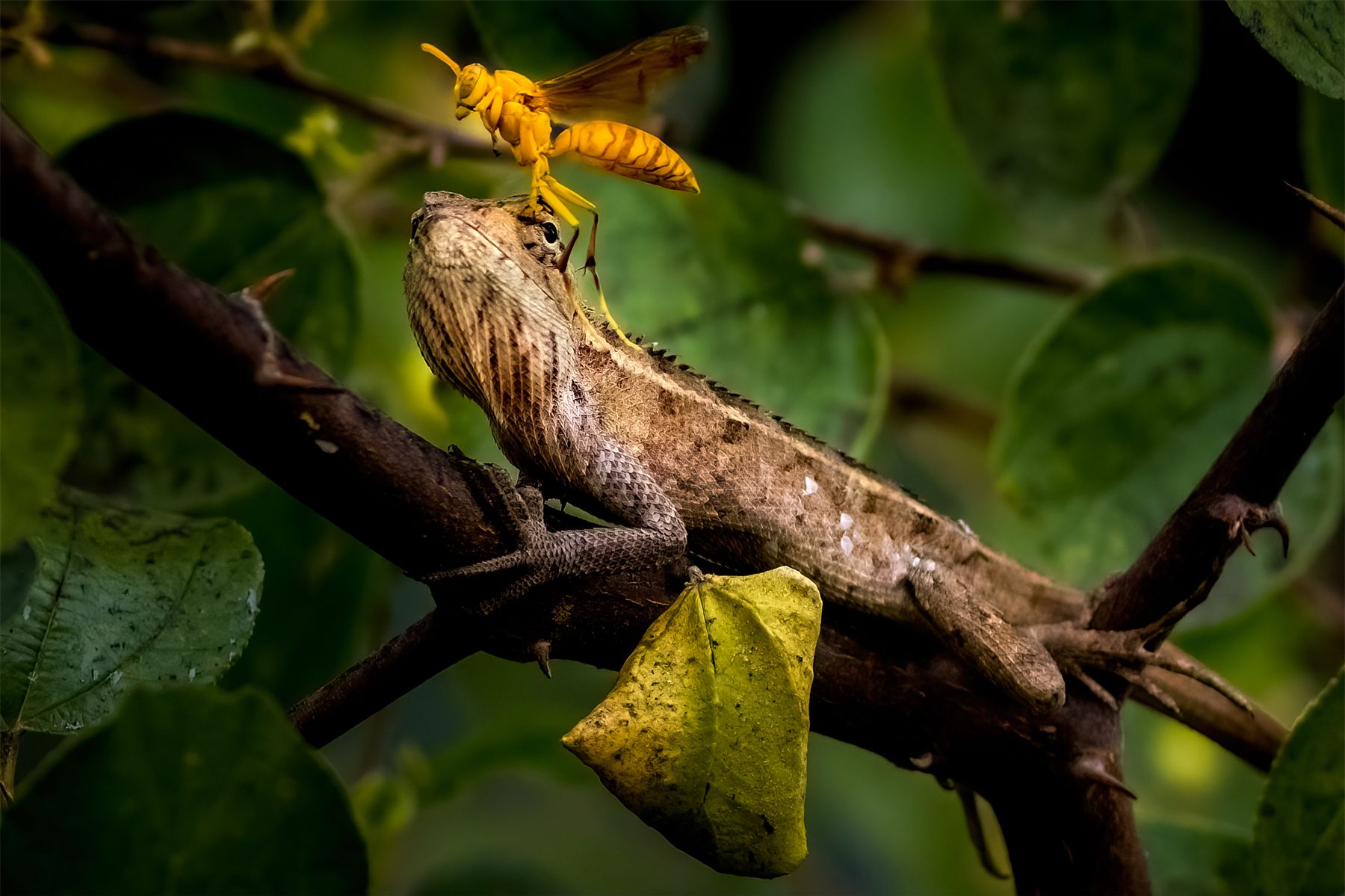 Community photo by Navjot