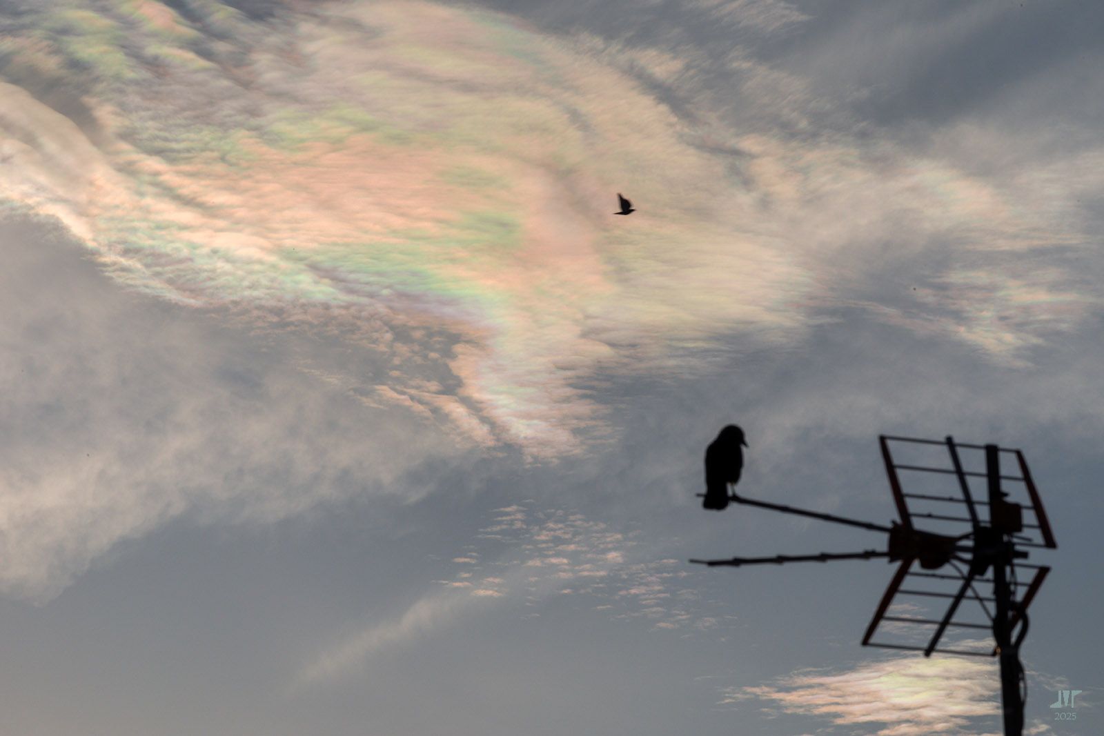 Community photo by juan manuel