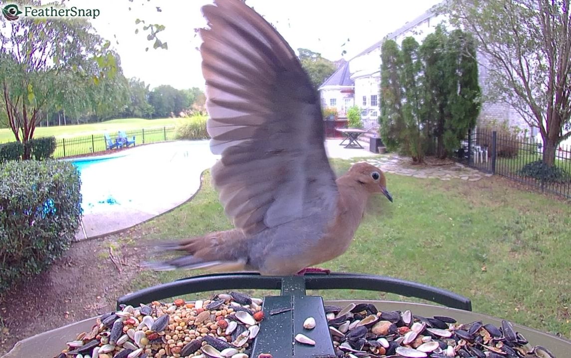 Community photo by Mark