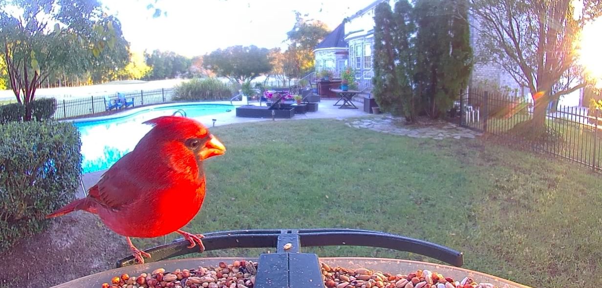 Community photo by Mark