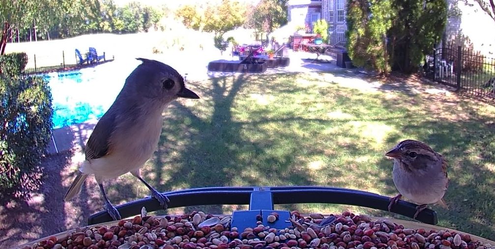 Community photo by Mark