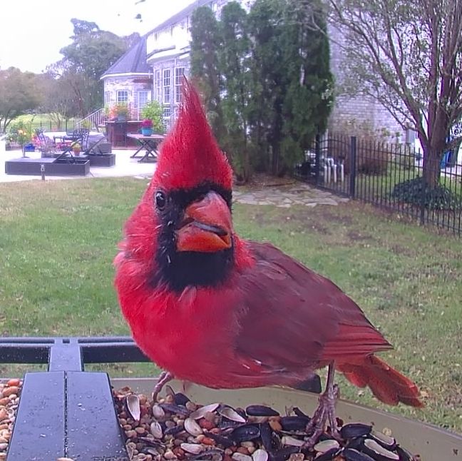 Community photo by Mark