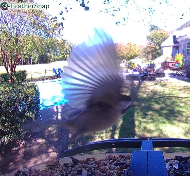 Community photo by Mark Wralstad | Virginia Beach, VA, USA