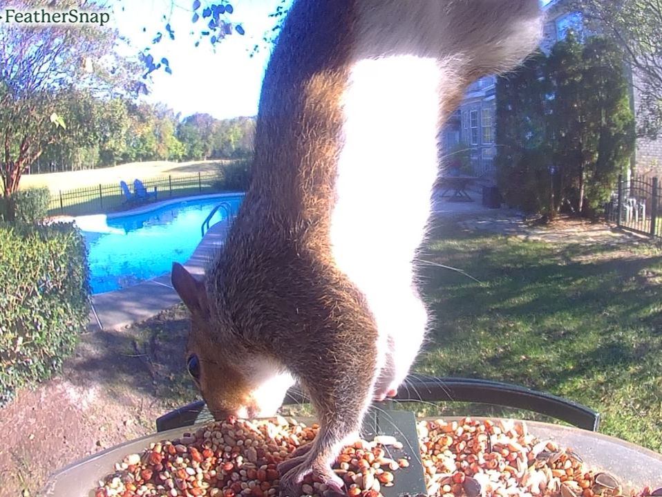 Community photo by Mark