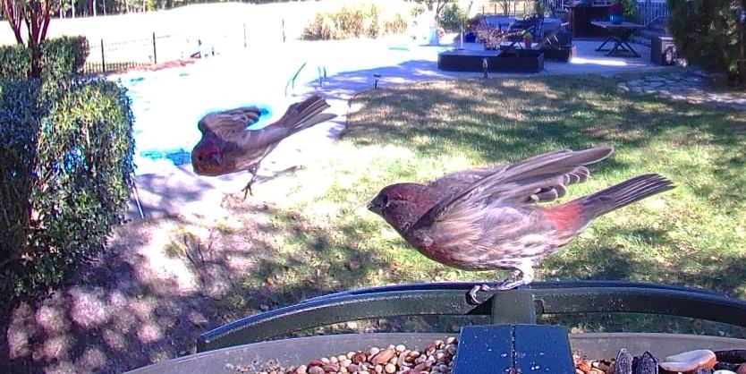 Community photo by Mark