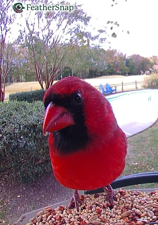 Community photo by Mark Wralstad | Virginia Beach, VA, USA