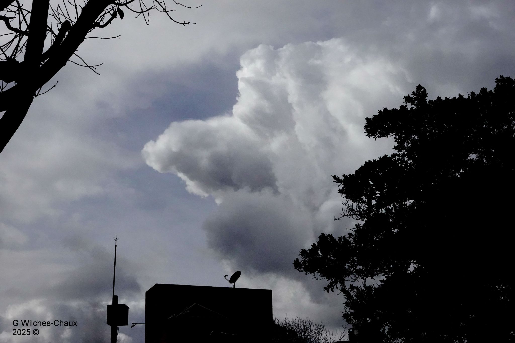 Community photo by Gustavo