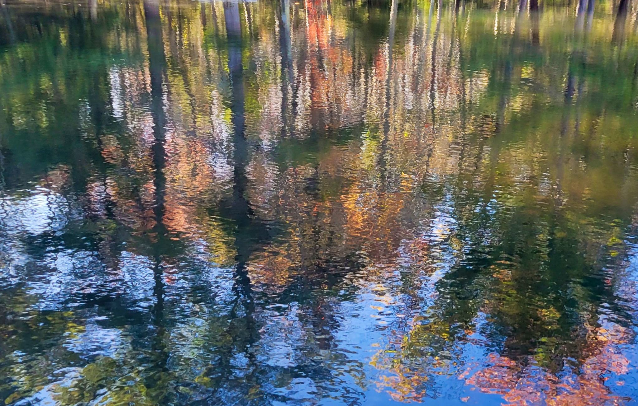 Community photo by Lorraine